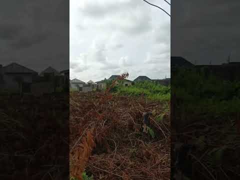 This is 30 by 130 @ijegun ologun.