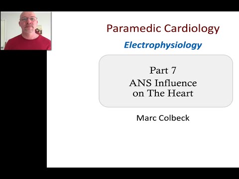 Cardiovascular Electrophysiology 7 - ANS Influence on the Heart