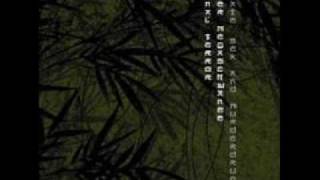 Anal Terror Of The Megacocks - Sound Of A Slut