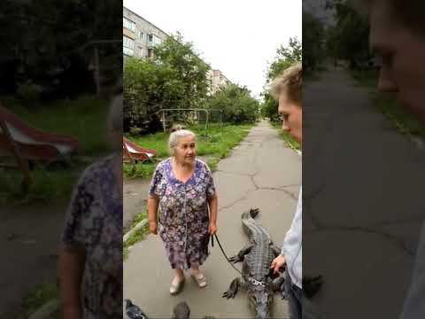 Видео сделано в AI 🤖 #искусственныйинтеллект #ai #нейросеть #нейронка