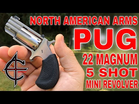 NAA 22 Magnum | PUG