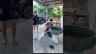 Download lagu Gagal fokus Tante itu 🙄😀😁🔥 #funny #comedy #shorts mp3