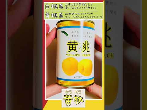 薬学科 おうとう