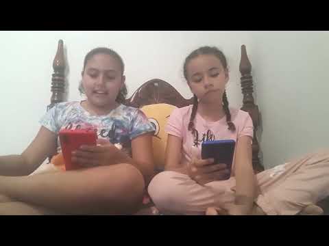 cosas sobre gatos/el mundo animal