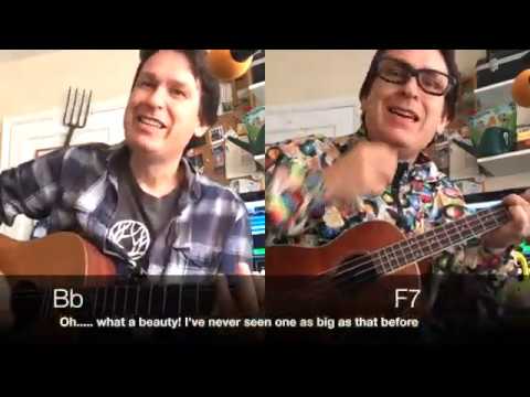 Self Isolation Play-a-longs with Stu - Ep 8 The Marrow Song (Guitar and Ukulele)