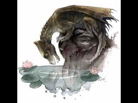 Eva Widermann Bildershow