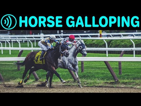 , title : 'HORSE GALLOPING SOUNDS  - Horse Running | Free Galloping Horses Noise Sound FX for Download'