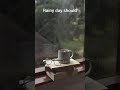 Rain Day Status Video Rainy Day Whatsapp Status Best Rain Song Raining Shorts