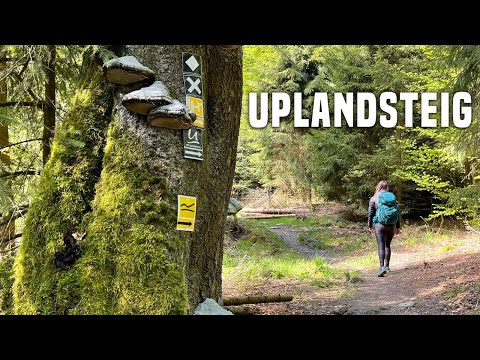 Uplandsteig: Weitwanderung im Sauerland mit Trekkingplattformen