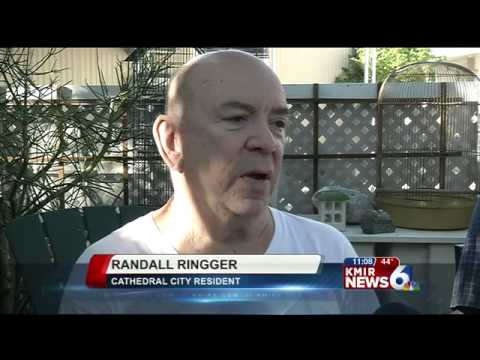 Electronic Harassment: Voices in My Mind