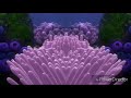 Finding Nemo Barracuda Mirror 3 Revere