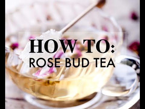 download lagu mp3 mp4 How To Make Rose Bud Tea, download lagu How To Make Rose Bud Tea gratis, unduh video klip How To Make Rose Bud Tea