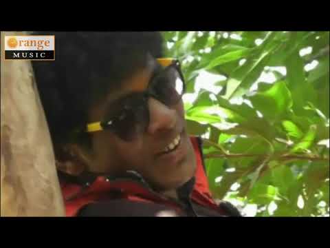 Pinjarata Rago | Pinjara Ta Rago Album | Gondi Video Song | Aadiwasi Gondwana Video Song HD720p