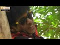 Pinjarata Rago Pinjara Ta Rago Album Gondi Video Song Aadiwasi Gondwana Video Song HD720p