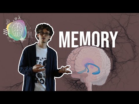 How do we remember? An overview of Long Term Memory