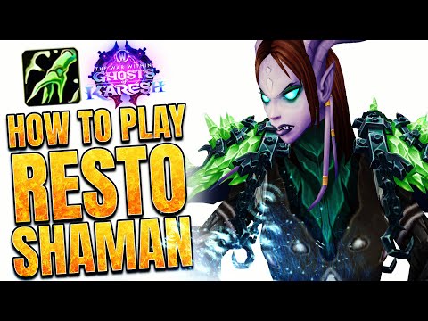 11.2 Resto Shaman Guide: META Healer