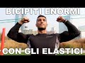 ALLENAMENTO BICIPITI CON ELASTICO! BICIPITI ENORMI CON LE LOOP BAND! BICIPITI IN CASA CON ELASTICO!