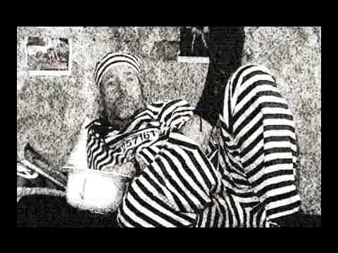 Stermann Grissemann vermieten ihr Zimmer zur Euro