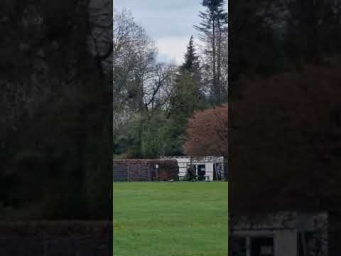 andi der Coach von VfL Oldenburg Inklusion Mannschaft zusammen mit Handicap Projekt 20 20 läuft