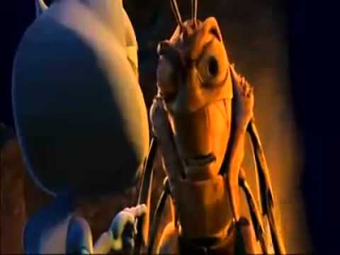 Formiche & Cavallette