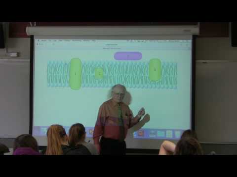 14. Ahern's BB 350 at Oregon State University - Lipids & Membranes II