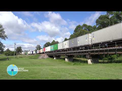 Diesel Locomotives NR16, LDP005 & AN6 - Dungog - January 2022