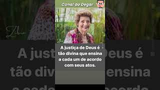 🙏❤🙏 MENSAGEM ESPIRITA 729 ZIBIA GASPARETTO A JUSTIÇA DE DEUS #canaldodegarshorts
