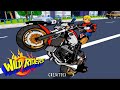 Wild Riders
