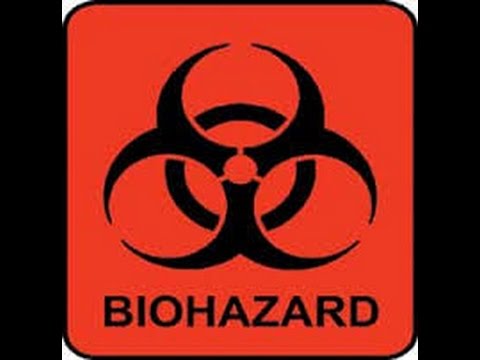 BIOHAZARD Live Eindhoven Dynamo fest 29 05 1993