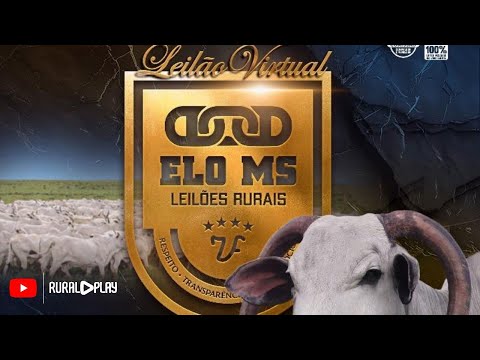 122º LEILÃO VIRTUAL ELO MS - CAMAPUÃ/MS - RURAL PLAY