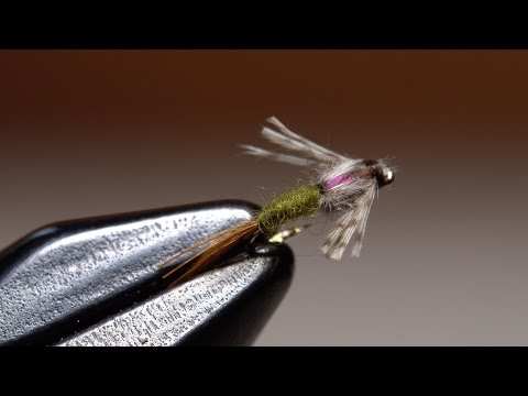 image-What is a BWO fly pattern?