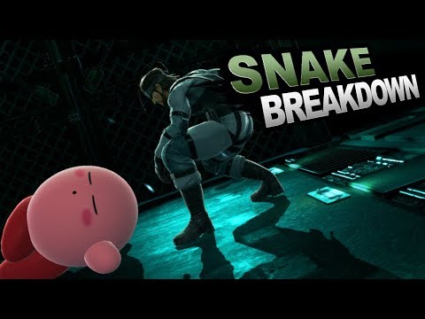 The ULTIMATE Snake Guide! ft Salem