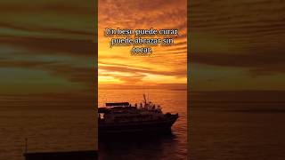 El poder de un beso: un lenguaje sin palabras 💋❤️