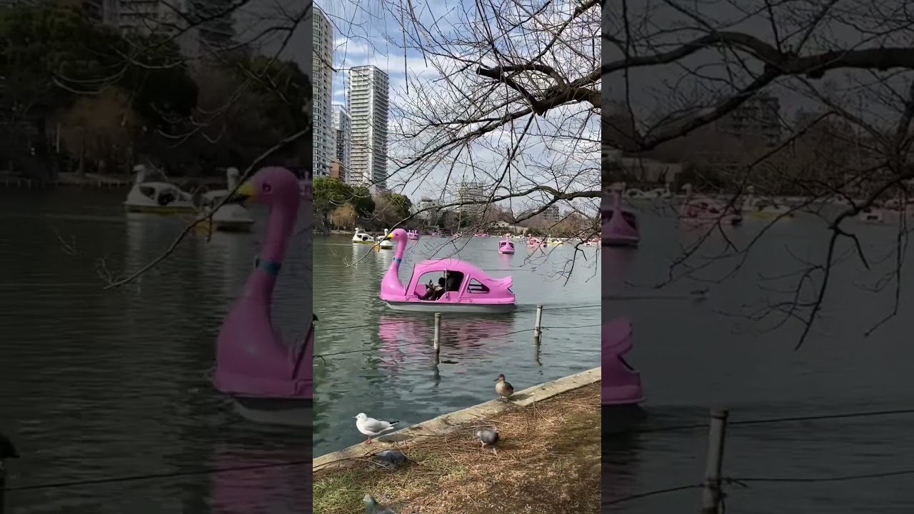 YouTube Short thumbnail