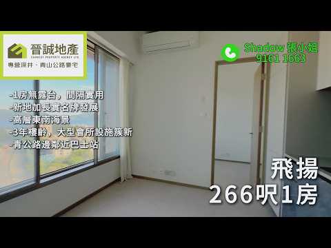 飛揚 Youtube Video