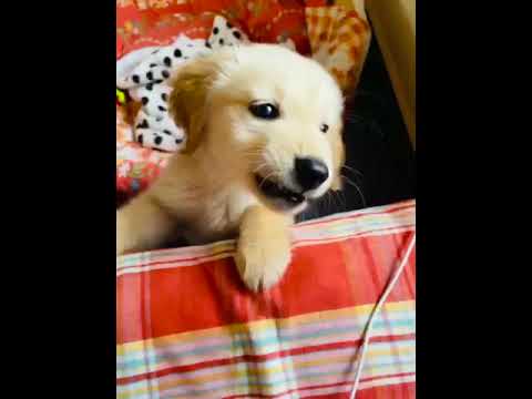 I’m Mylo.. This is what I’m starting to do…