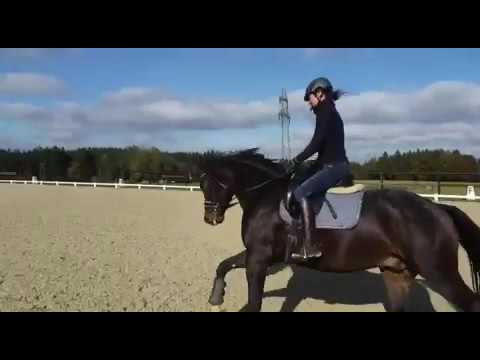 Finest Beat v Fürstenball x Simply,