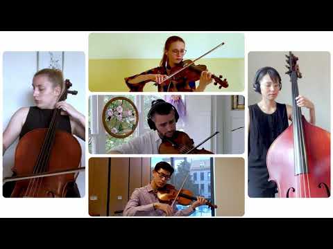 Promotional video thumbnail 1 for Bailey Wantuch, Violinist