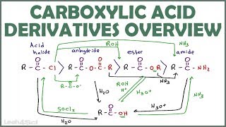 Carboxylic Acid Derivatives Overview and Reaction Map