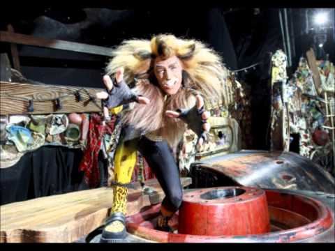 CATS Wien 2012 - Rum Tum Tugger