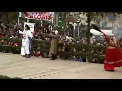 URsi din Laloaia 2017