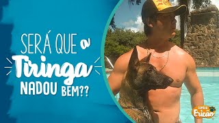 TODOS OS CACHORROS SABEM NADAR?   FAMILIA ERICAO