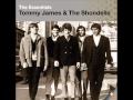 Tommy James & The Shondells - out of the blue