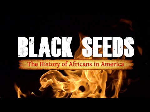 Jim Crow: The History of Africans in America