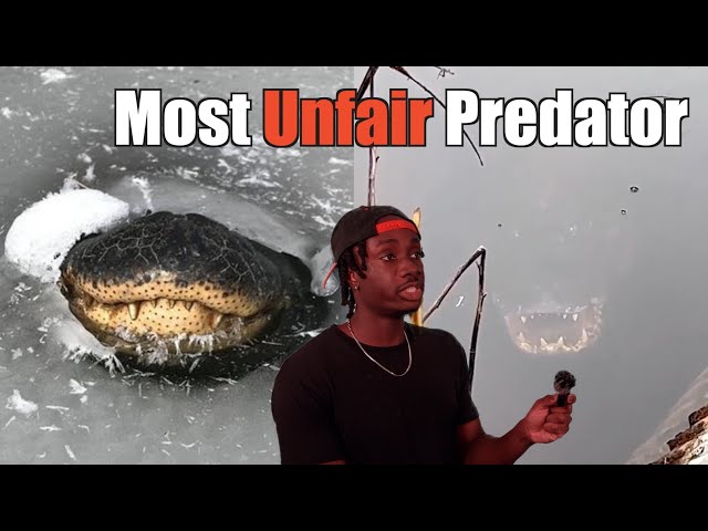 Why This is the Scariest Predator of All Time SDDEFAULT Thumbnail