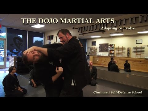 Punch Defense Options - The Dojo Martial Arts Samurai Ninjutsu School