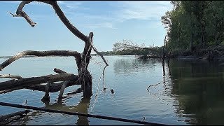 Ловля щуки в ноябре на поролон