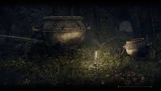 エルデンリング　寝るまでレベル上げ　[PS5] [4K]