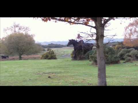 12/11/11- B.I.A.D submission