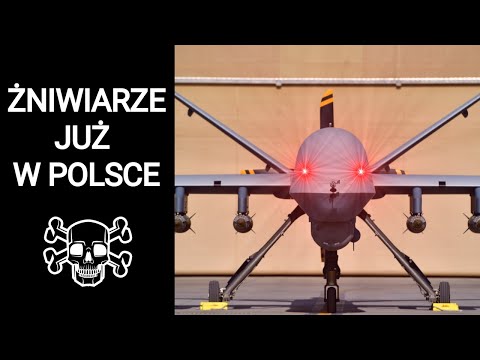 Po co nam drony MQ-9 Reaper?